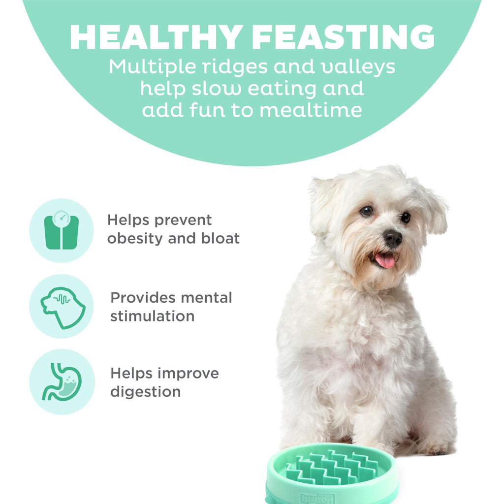 Fun Feeder Slo Bowl – Large 4‑Cup Capacity, Slow Feeding, Medium to Large Dogs, Non‑Slip, Turquoise, Drop Pattern