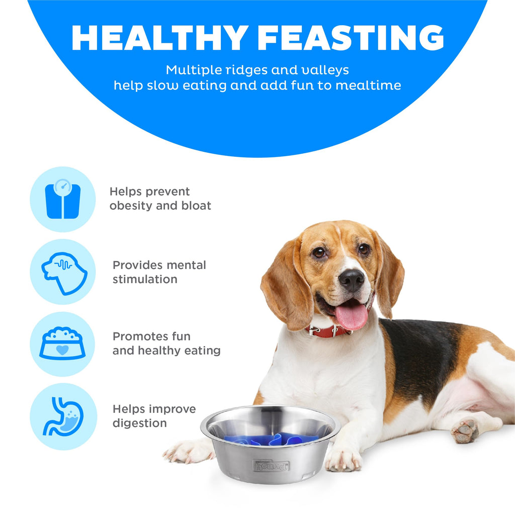 Fun Feeder Slo Bowl – Large 4‑Cup Capacity, Slow Feeding, Medium to Large Dogs, Non‑Slip, Turquoise, Drop Pattern