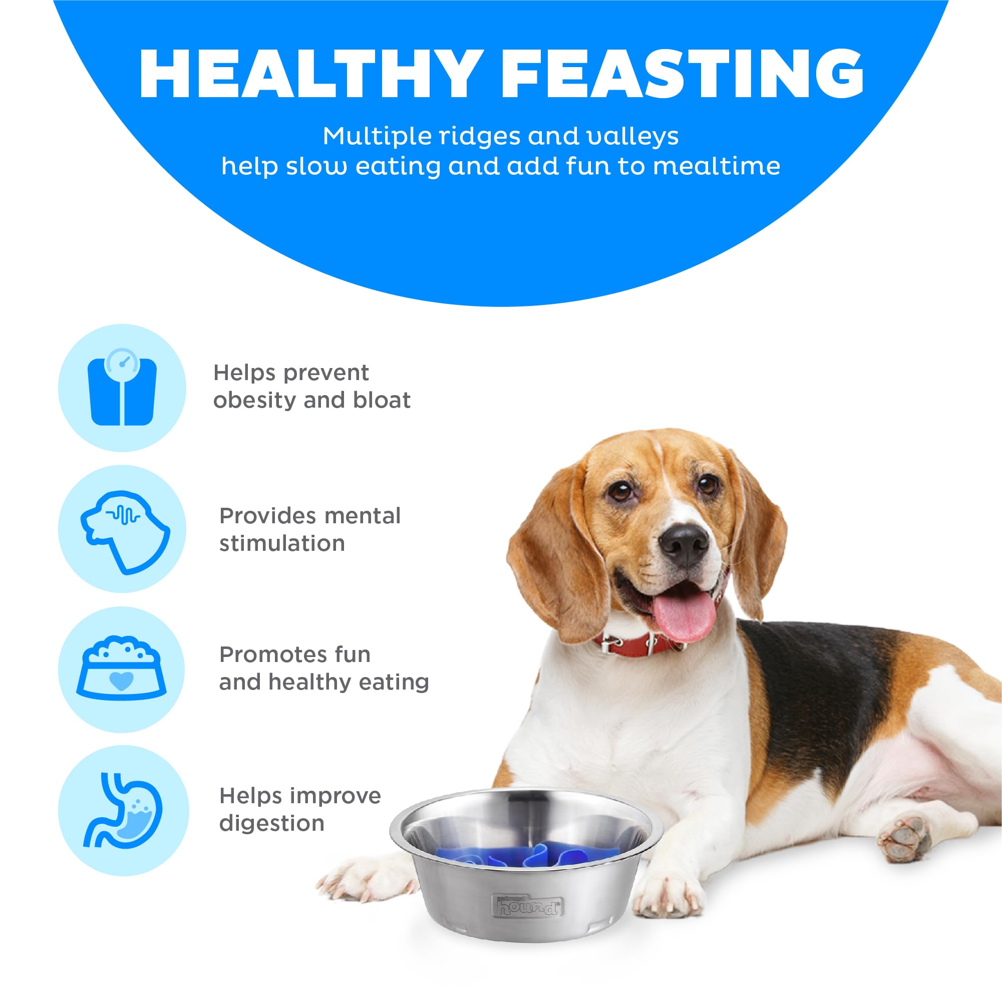 Fun Feeder Slo Bowl – Large 4‑Cup Capacity, Slow Feeding, Medium to Large Dogs, Non‑Slip, Turquoise, Drop Pattern