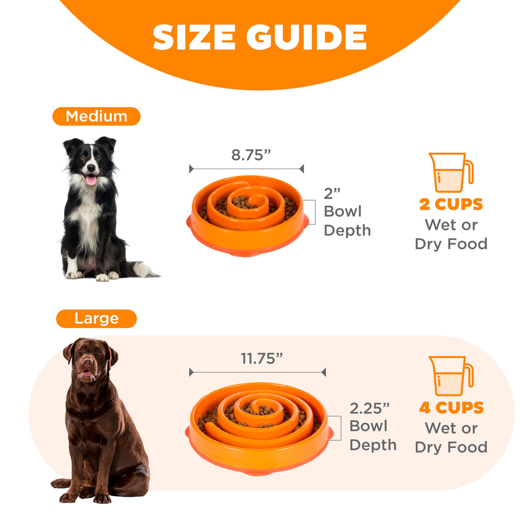 Fun Feeder Slo Bowl – Large 4‑Cup Capacity, Slow Feeding, Medium to Large Dogs, Non‑Slip, Turquoise, Drop Pattern