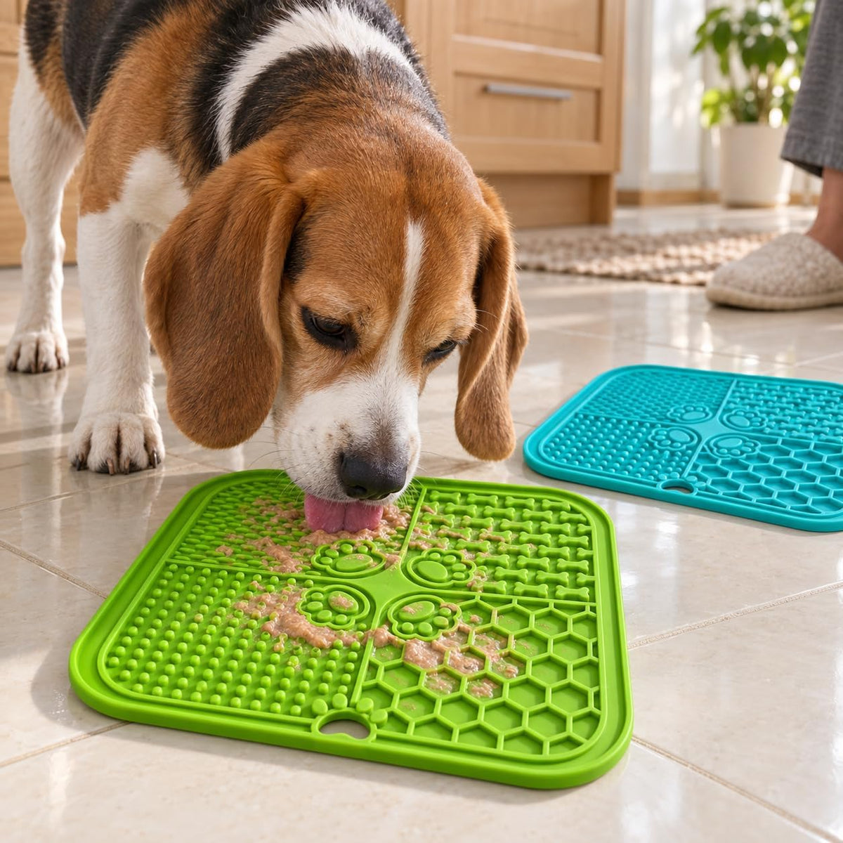 Pet Lick Mat for Dogs and Cats, BPA-Free Silicone (Grass Green, Teal)