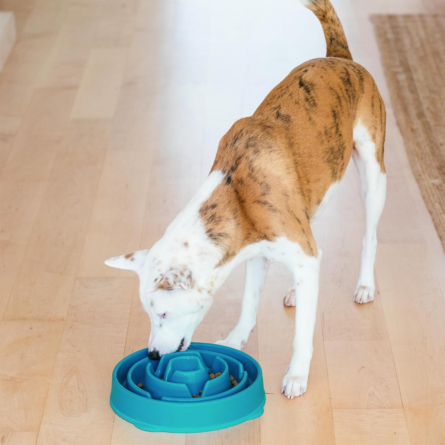 Fun Feeder Slo Bowl – Large 4‑Cup Capacity, Slow Feeding, Medium to Large Dogs, Non‑Slip, Turquoise, Drop Pattern