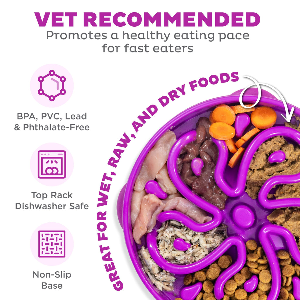 Fun Feeder Slo Bowl – Large 4‑Cup Capacity, Slow Feeding, Medium to Large Dogs, Non‑Slip, Turquoise, Drop Pattern