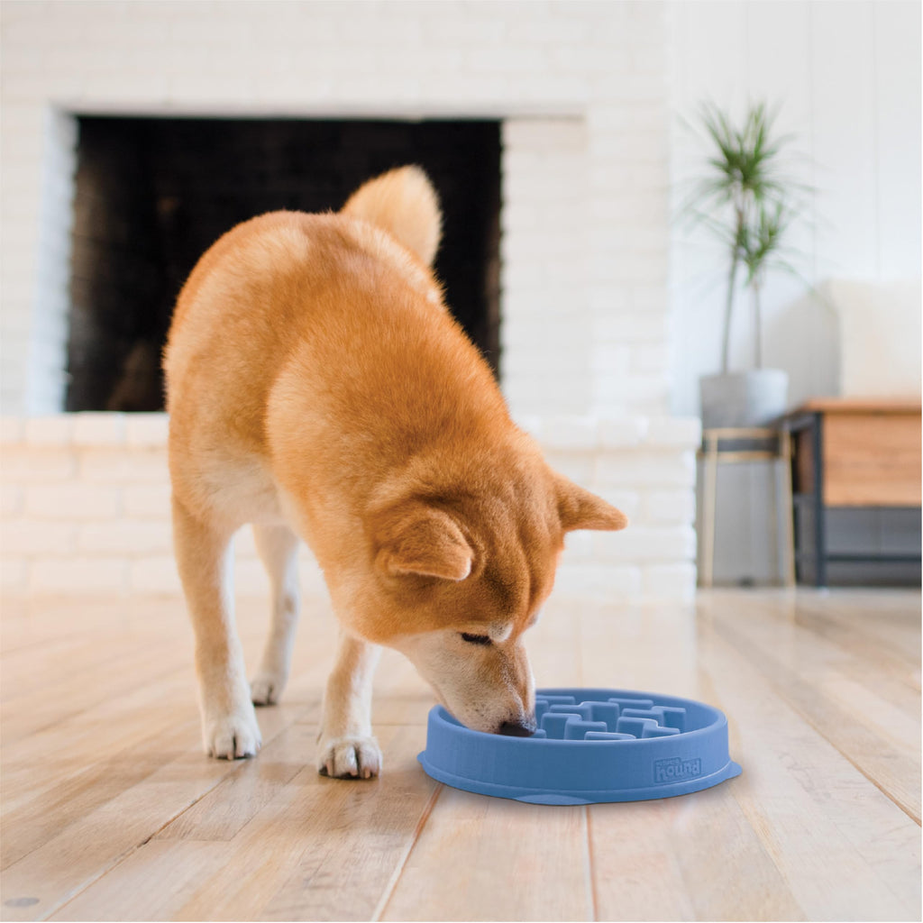 Fun Feeder Slo Bowl – Large 4‑Cup Capacity, Slow Feeding, Medium to Large Dogs, Non‑Slip, Turquoise, Drop Pattern