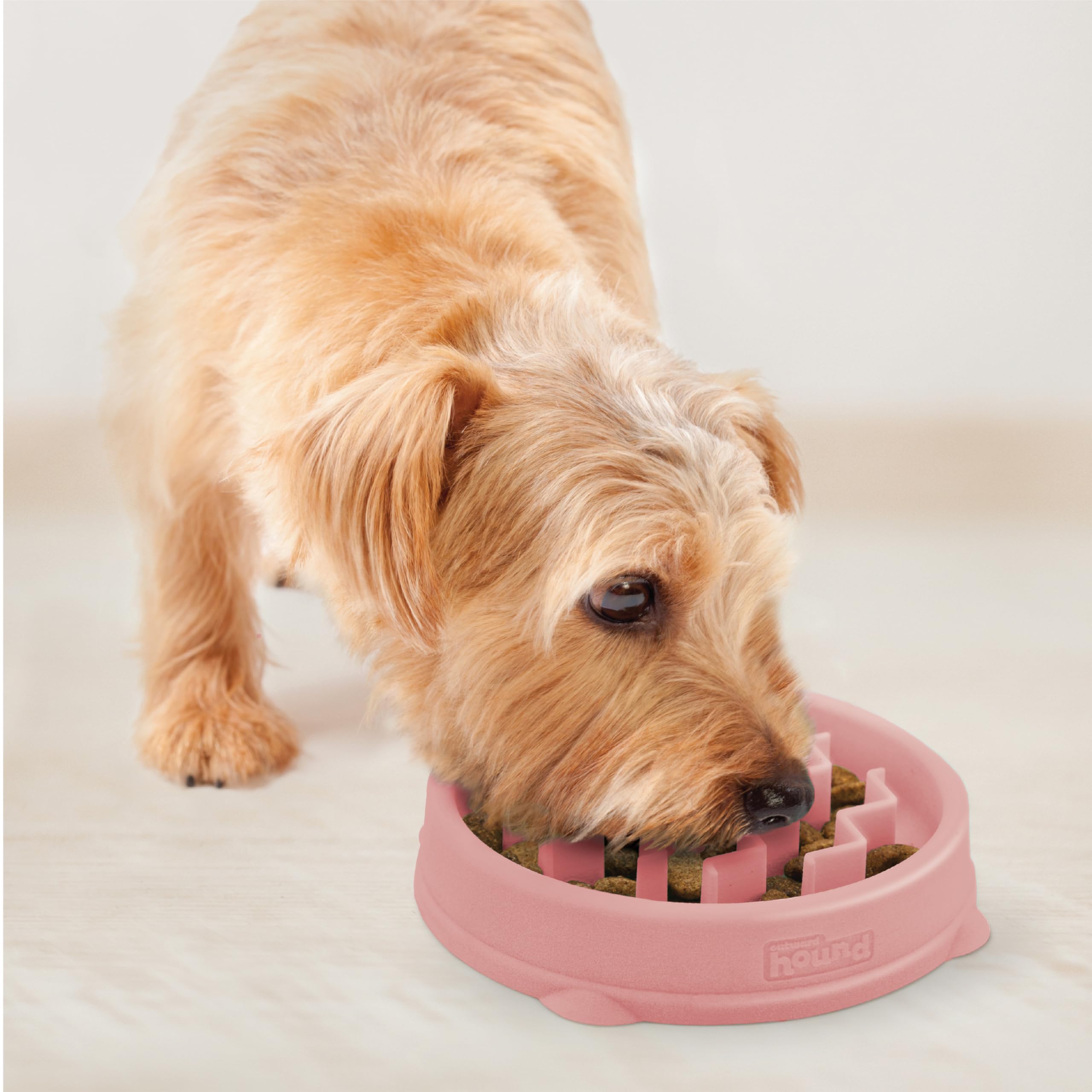 Fun Feeder Slo Bowl – Large 4‑Cup Capacity, Slow Feeding, Medium to Large Dogs, Non‑Slip, Turquoise, Drop Pattern