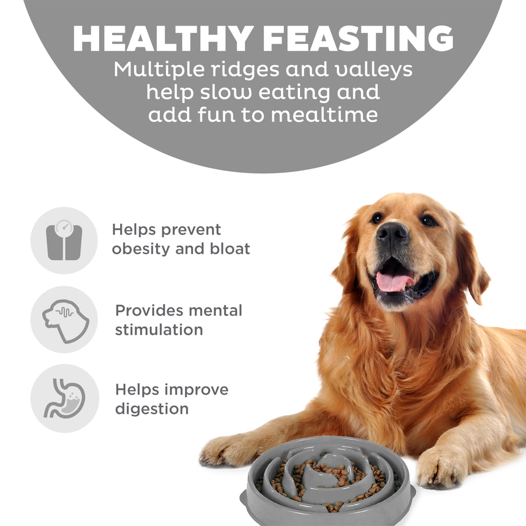 Fun Feeder Slo Bowl – Large 4‑Cup Capacity, Slow Feeding, Medium to Large Dogs, Non‑Slip, Turquoise, Drop Pattern