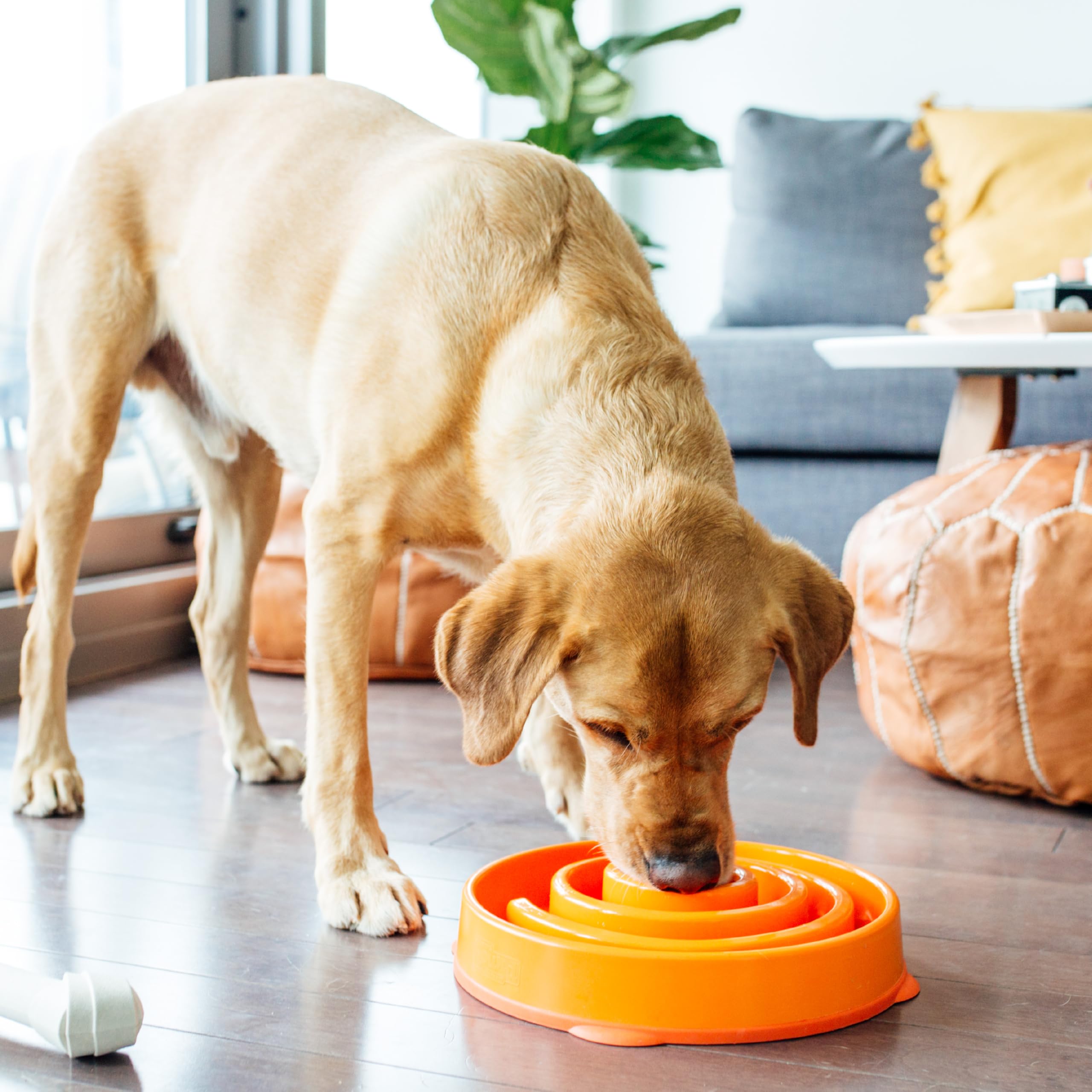Fun Feeder Slo Bowl – Large 4‑Cup Capacity, Slow Feeding, Medium to Large Dogs, Non‑Slip, Turquoise, Drop Pattern