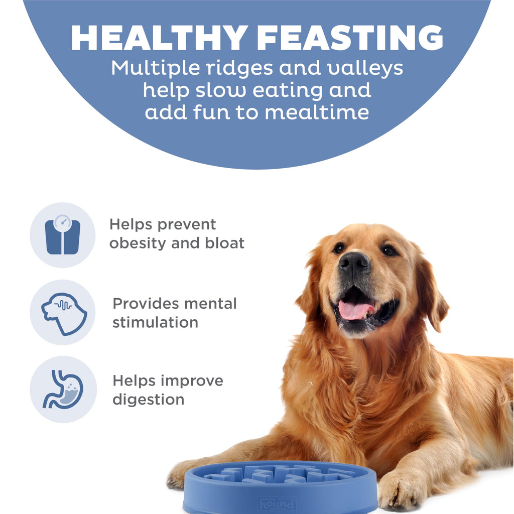 Fun Feeder Slo Bowl – Large 4‑Cup Capacity, Slow Feeding, Medium to Large Dogs, Non‑Slip, Turquoise, Drop Pattern