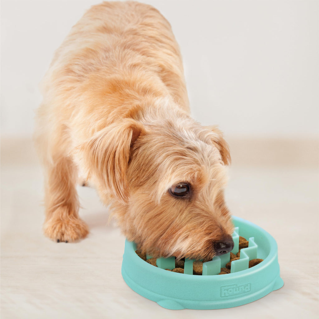 Fun Feeder Slo Bowl – Large 4‑Cup Capacity, Slow Feeding, Medium to Large Dogs, Non‑Slip, Turquoise, Drop Pattern