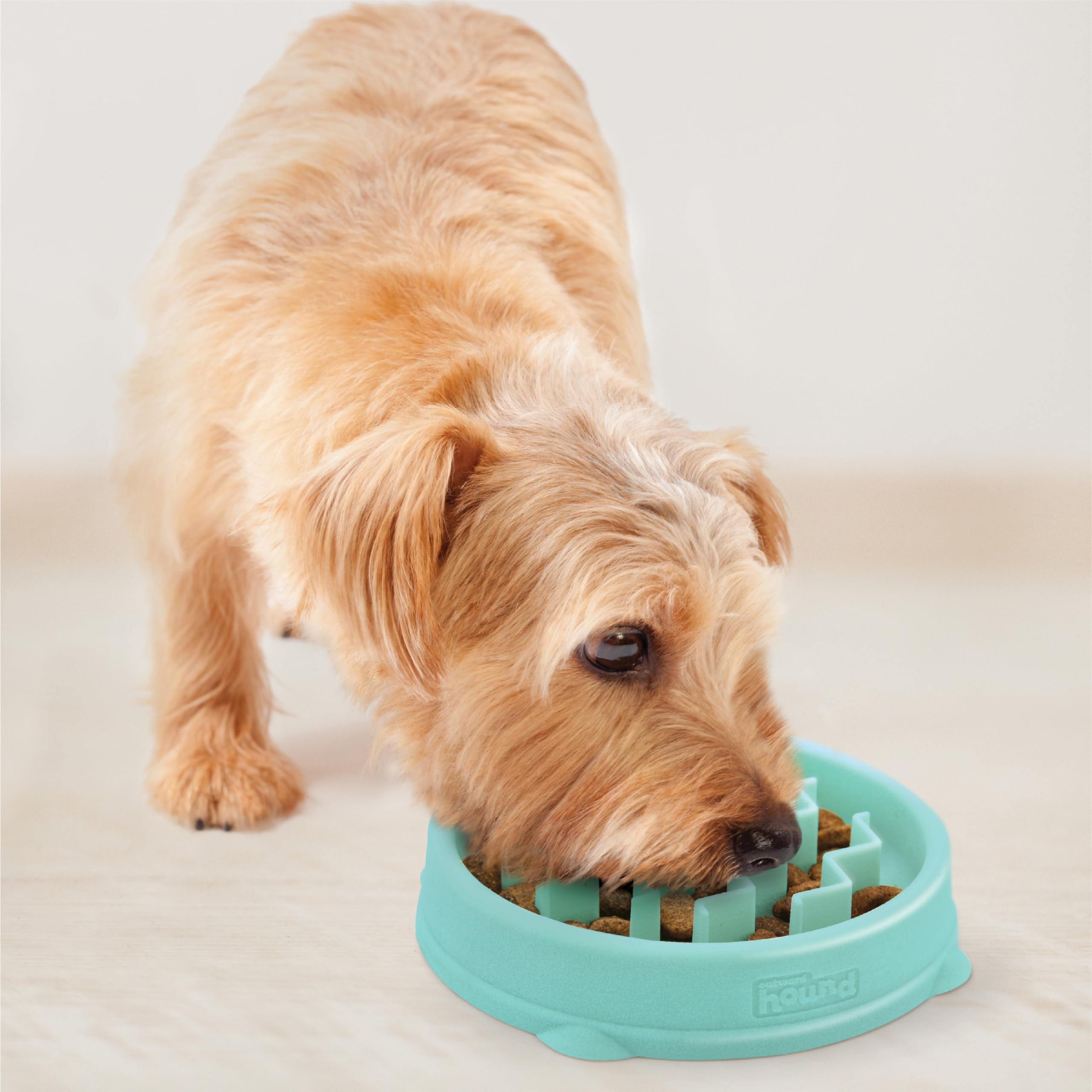 Fun Feeder Slo Bowl – Large 4‑Cup Capacity, Slow Feeding, Medium to Large Dogs, Non‑Slip, Turquoise, Drop Pattern