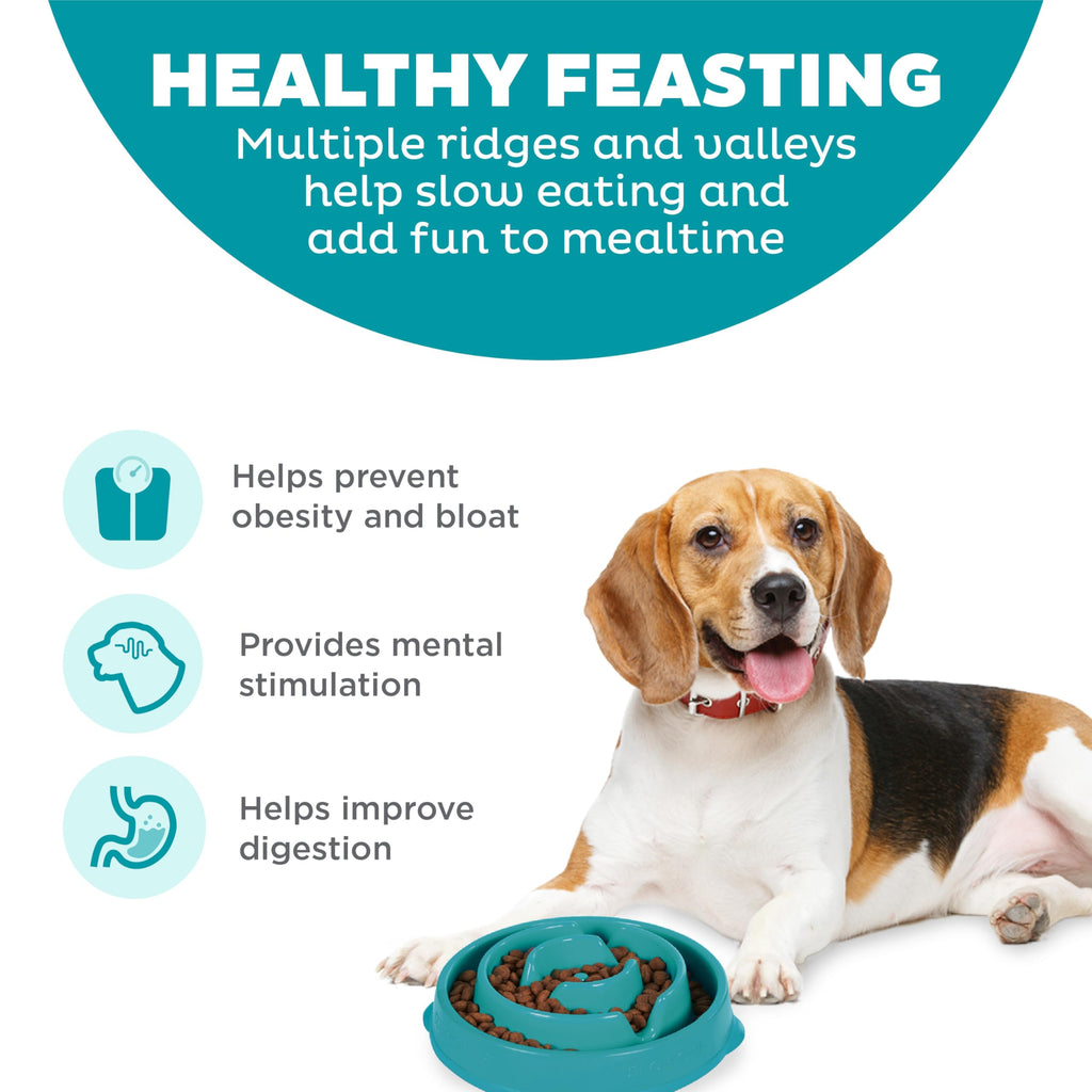 Fun Feeder Slo Bowl – Large 4‑Cup Capacity, Slow Feeding, Medium to Large Dogs, Non‑Slip, Turquoise, Drop Pattern