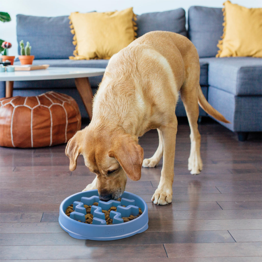 Fun Feeder Slo Bowl – Large 4‑Cup Capacity, Slow Feeding, Medium to Large Dogs, Non‑Slip, Turquoise, Drop Pattern