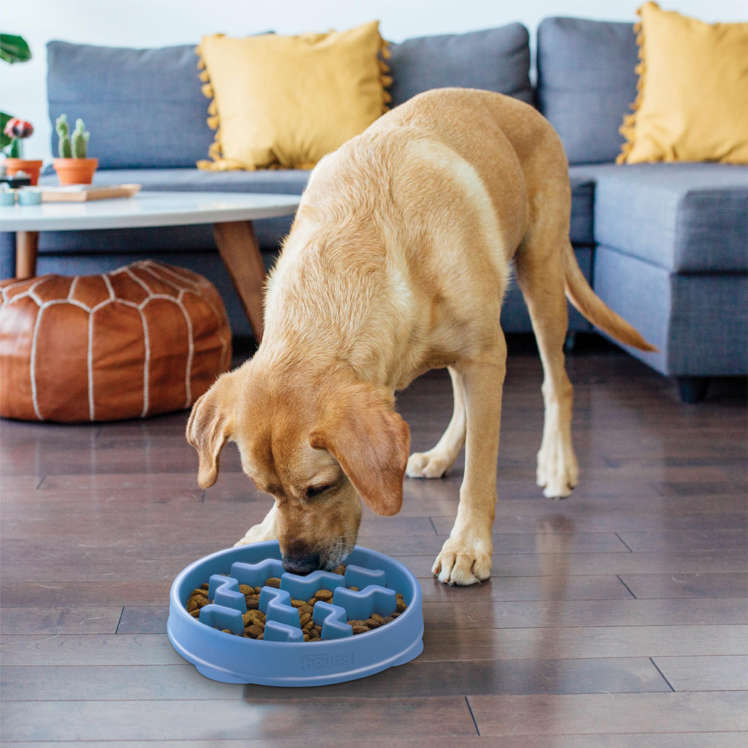 Fun Feeder Slo Bowl – Large 4‑Cup Capacity, Slow Feeding, Medium to Large Dogs, Non‑Slip, Turquoise, Drop Pattern