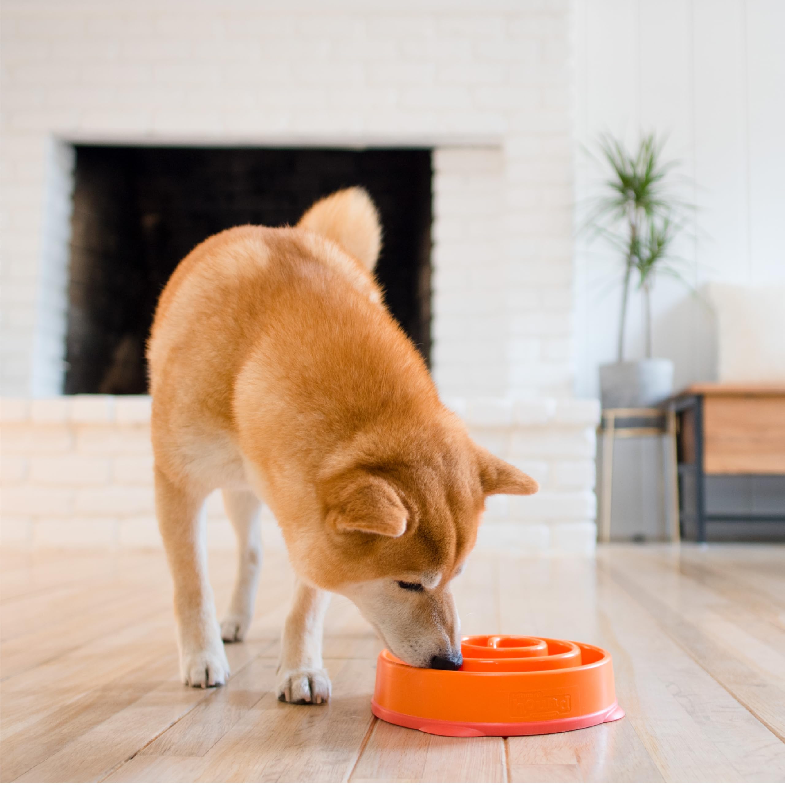 Fun Feeder Slo Bowl – Large 4‑Cup Capacity, Slow Feeding, Medium to Large Dogs, Non‑Slip, Turquoise, Drop Pattern