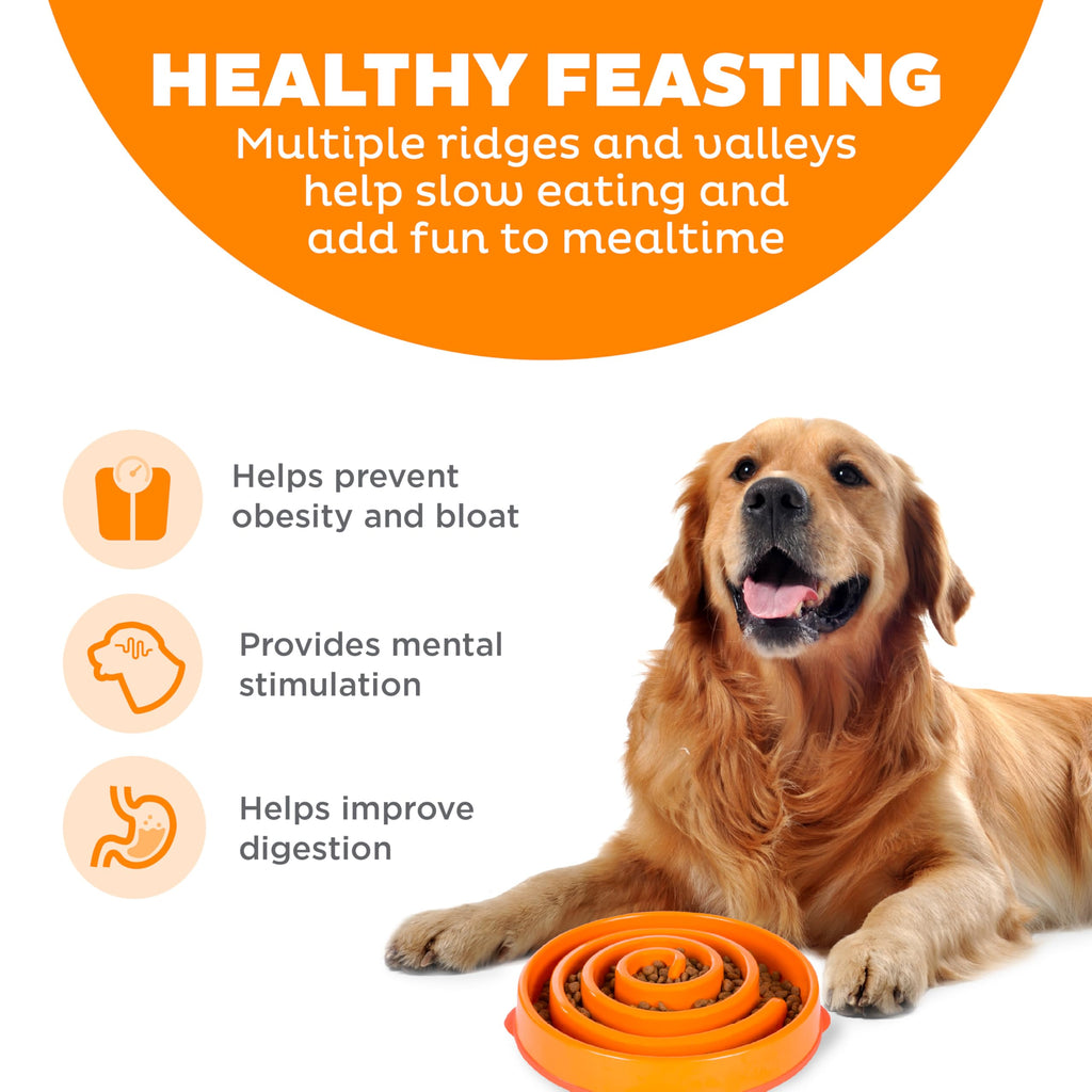 Fun Feeder Slo Bowl – Large 4‑Cup Capacity, Slow Feeding, Medium to Large Dogs, Non‑Slip, Turquoise, Drop Pattern