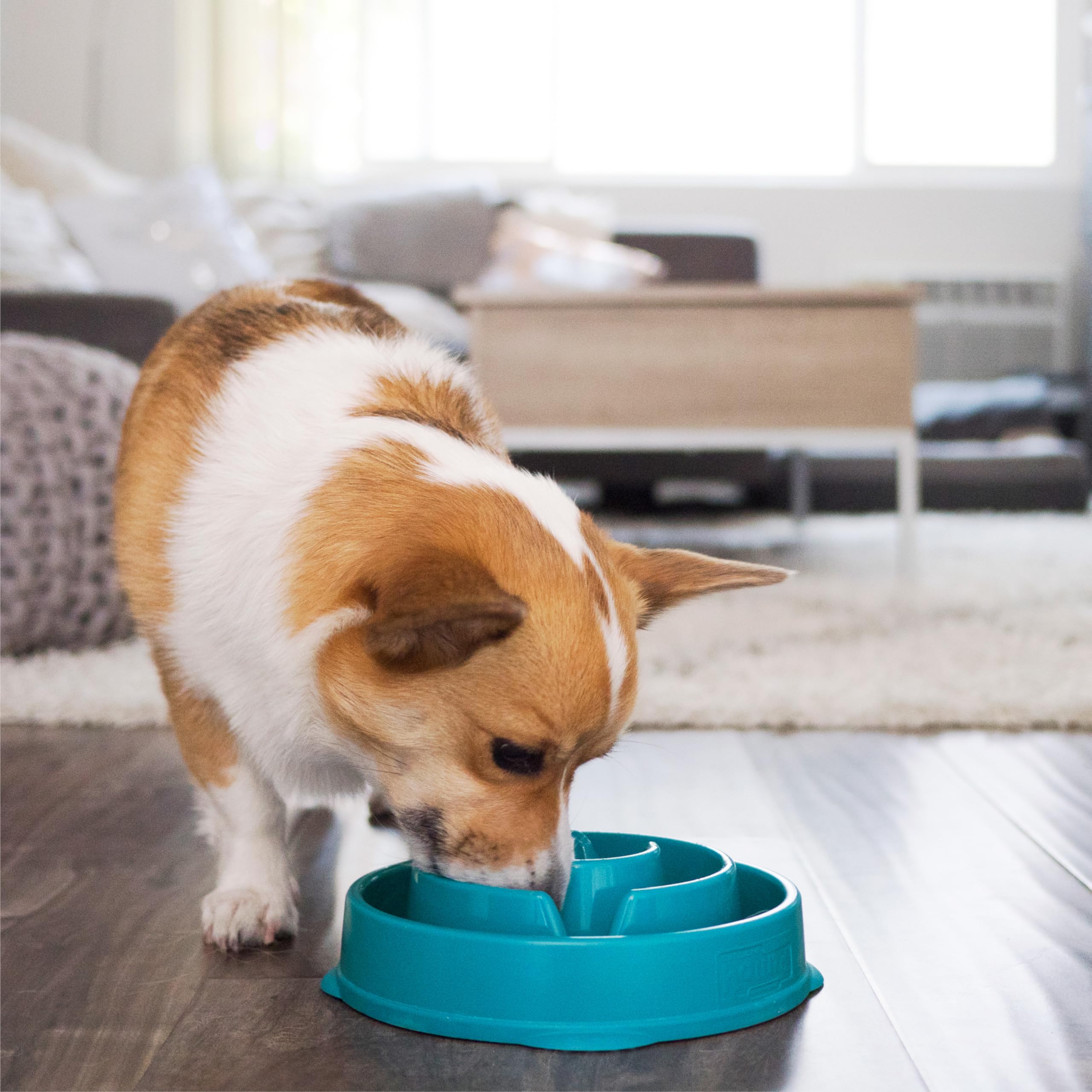 Fun Feeder Slo Bowl – Large 4‑Cup Capacity, Slow Feeding, Medium to Large Dogs, Non‑Slip, Turquoise, Drop Pattern
