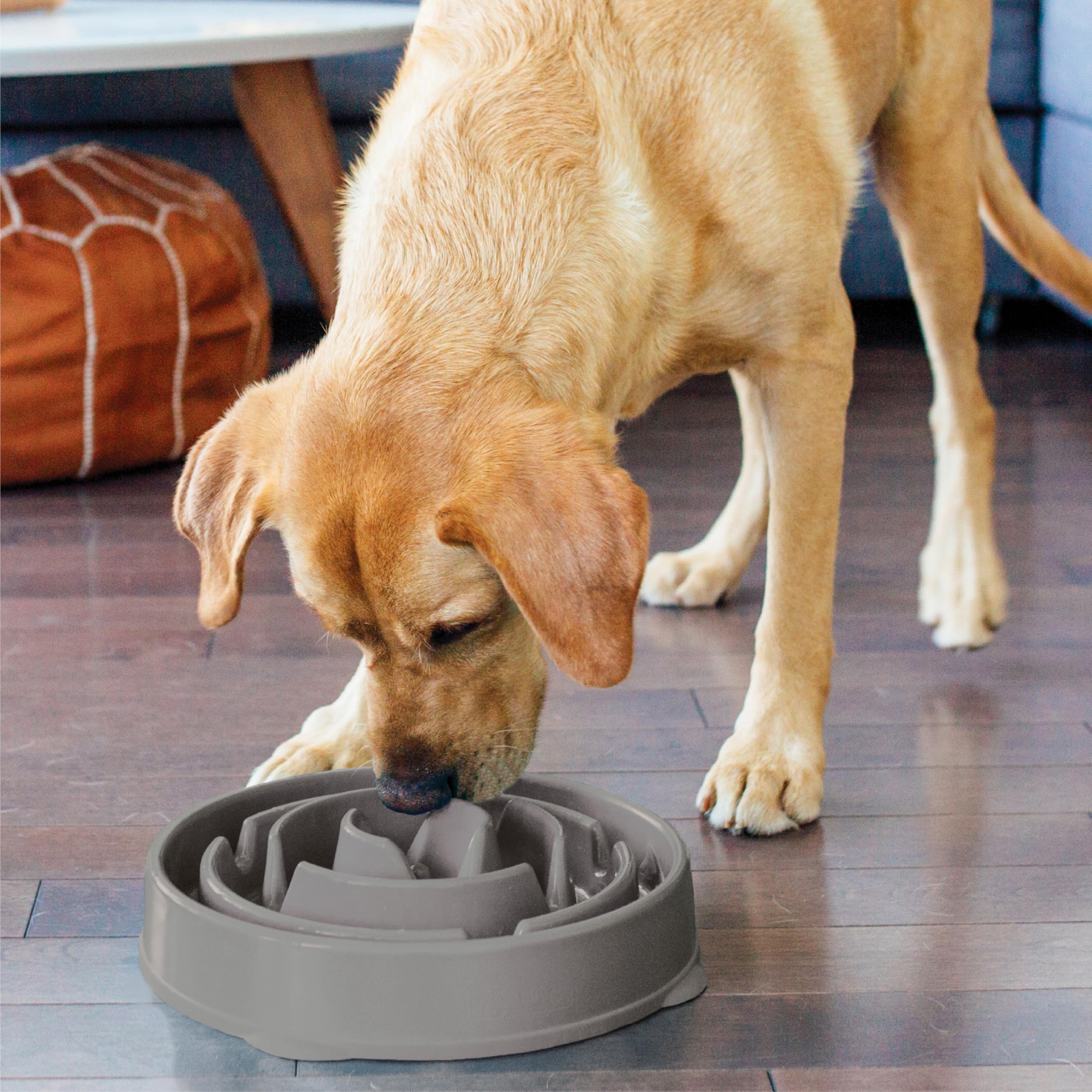 Fun Feeder Slo Bowl – Large 4‑Cup Capacity, Slow Feeding, Medium to Large Dogs, Non‑Slip, Turquoise, Drop Pattern